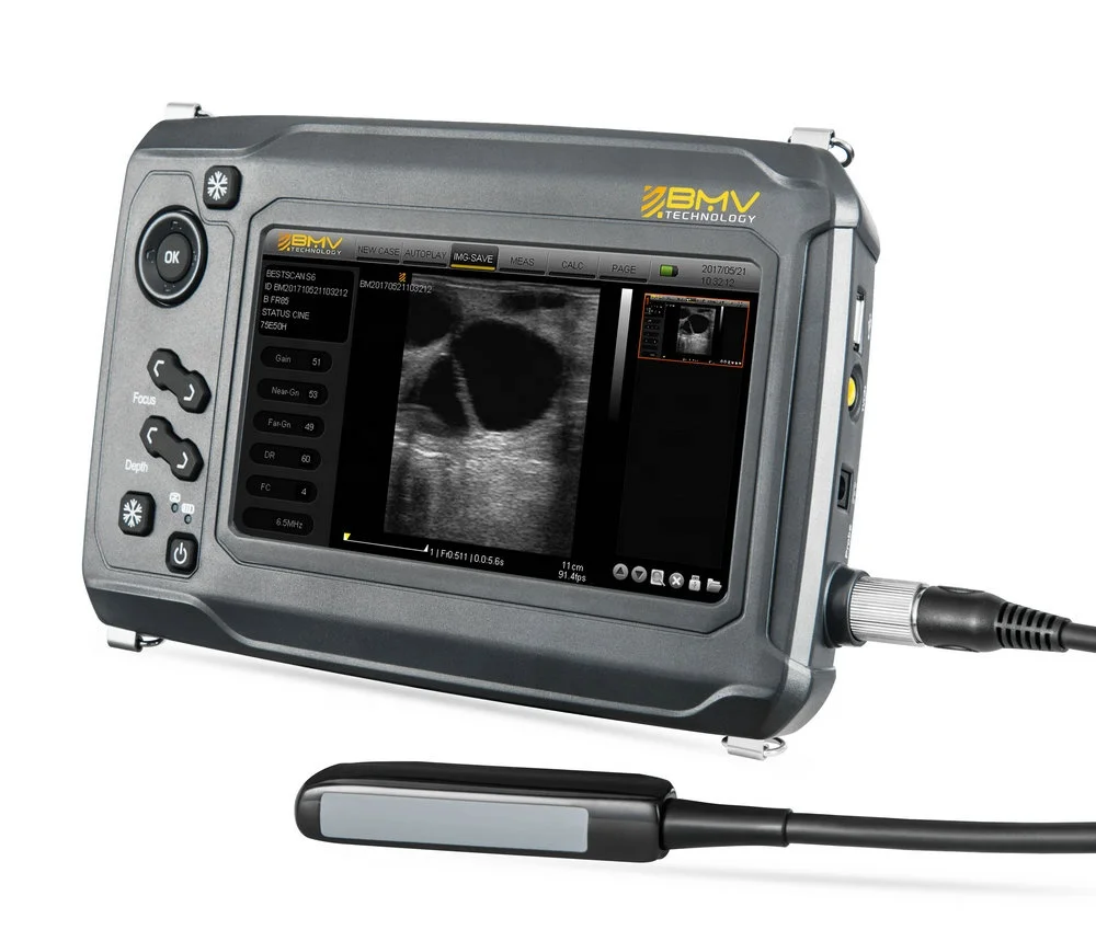 USG bmv s6 Ветеринарный ультразвуковой прибор для определения беременности ecografo