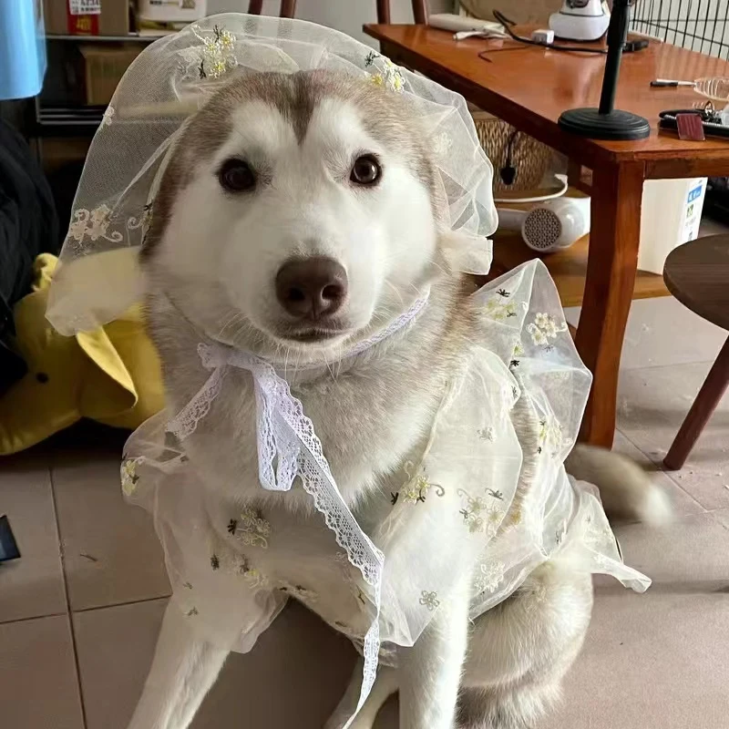

Big Dog Clothes Summer Large Dog Dress + Hat Poodle Schnauzer Corgi Samoyed Husky Labrador Golden Retriever Dog Clothing Skirt