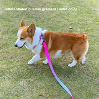 the latest nylon dog collar gradient color removable padded pet supplies personalized dog outing dog training accessories neck