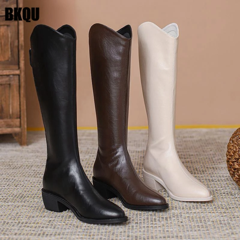 

Western Pointed Toe Shoes Ladies Zippers Knight Knee High Long Boots Women Thick Heels Female Back Zipper Thin Pumps Vintage New
