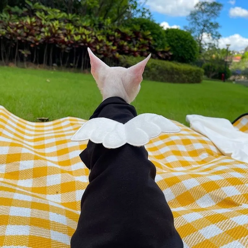 Сфинкс безволосовая Одежда для кошек Жилет ЧЕРНЫЕ милые крылья ангела