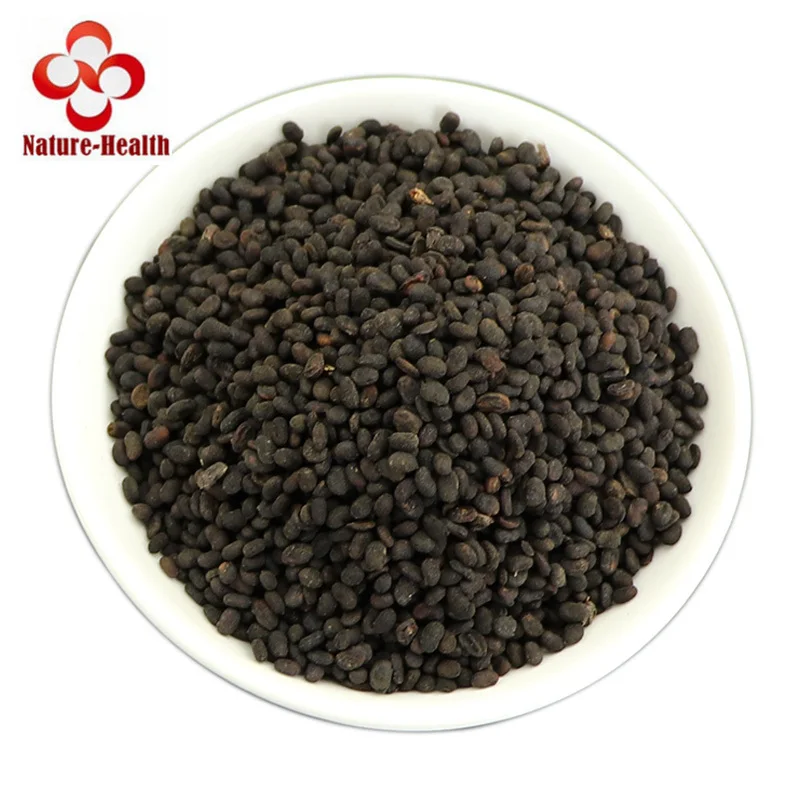 

Bu Gu Zhi Psoralea Corylifolia Fruit Psoraliae Fructus