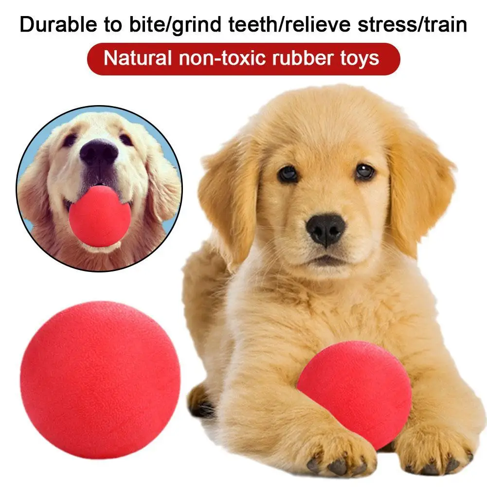 

Pet Dog Toy Ball Solid Rubber Bite Resistant Elastic Ball Pet Tooth Grinding Toy Ball Pet Training Interactive Tools
