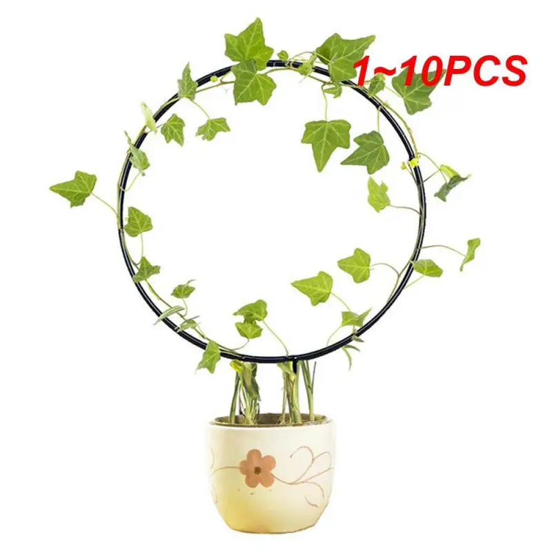 Стойка для поддержки садовых растений 1-10 шт. круглая подставка в форме лозы