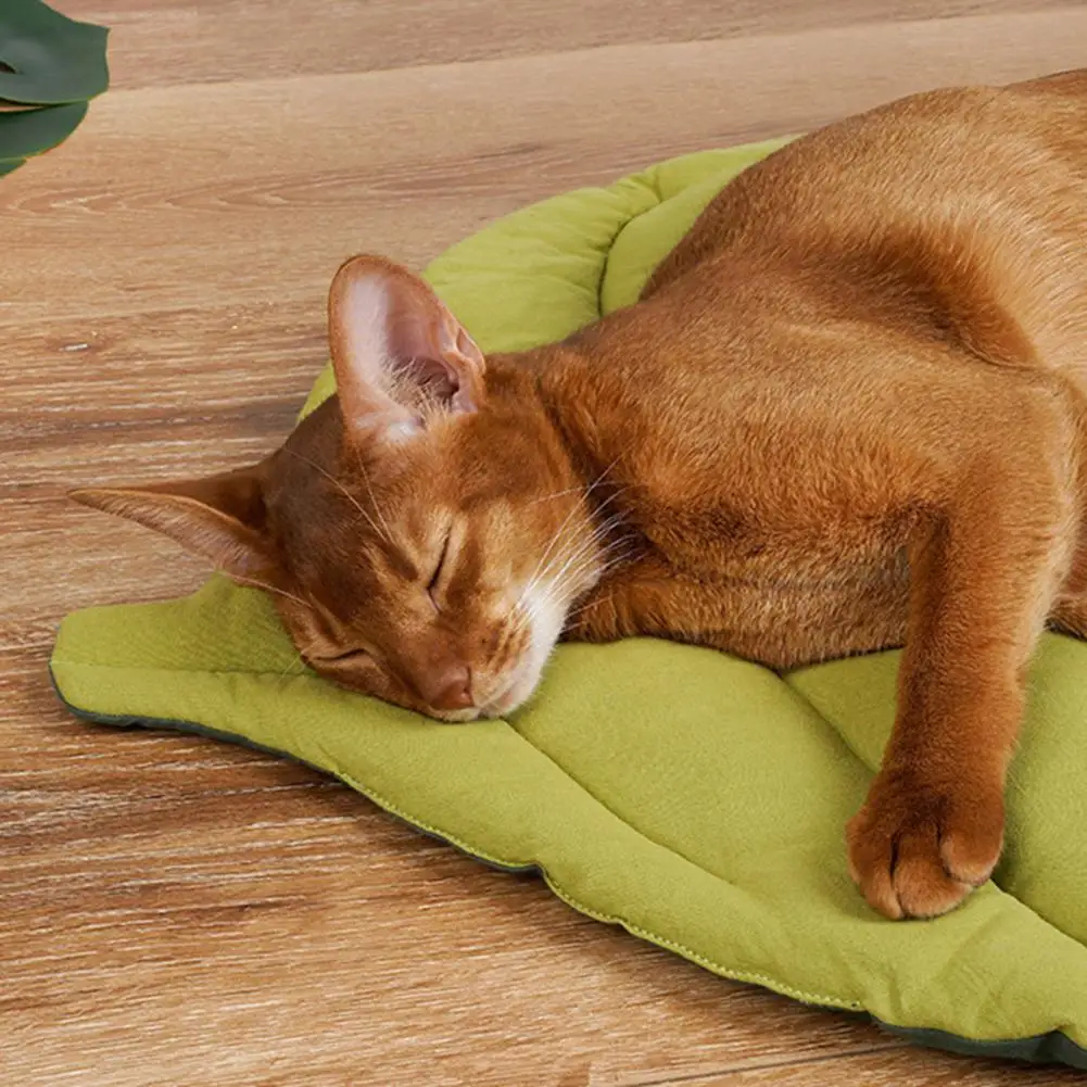 

Pet Sleeping Mat Premium Cloth Bite Resistant Pet Leaves Appearance Cushion for Winter Cat Cage Mat Pet Sleeping Mat