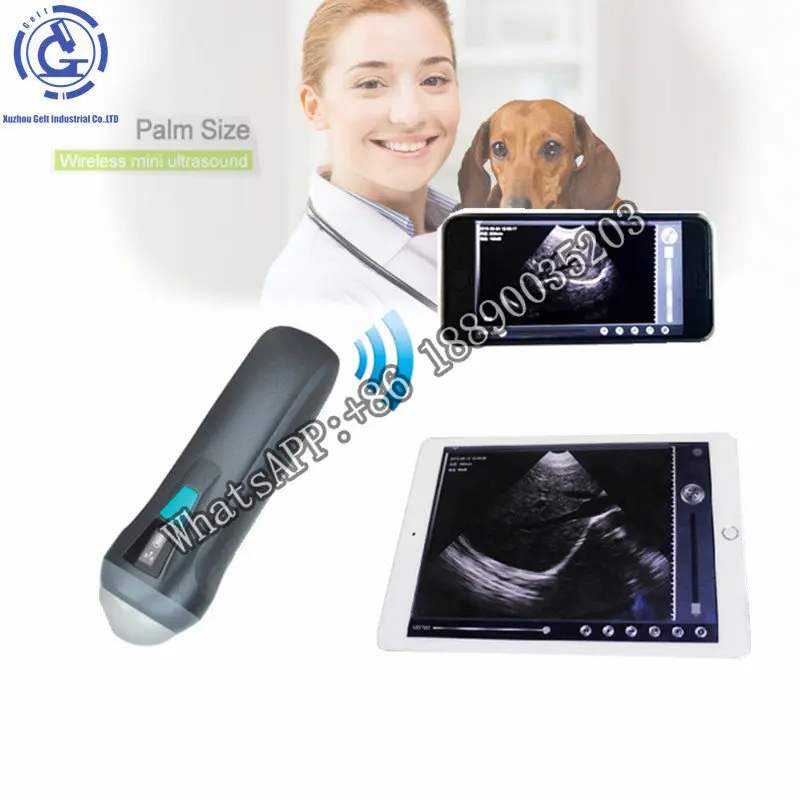 

Handheld Veterinary Medical Ultrasound Instruments Portable Pregnancy Animal Cattle Vet Ultrasound Scanner Machine With Probe