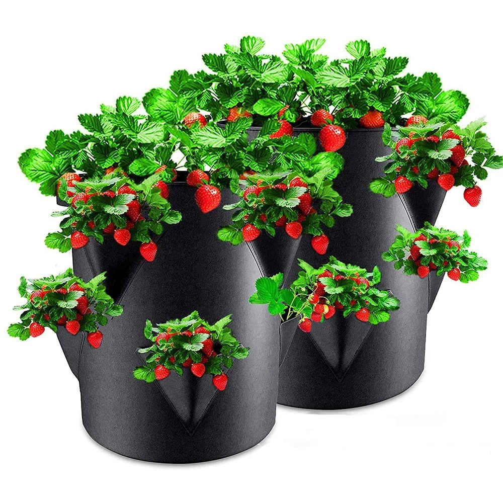 

Multi-Mouth Grow Bag 5/7/10 Gallons Strawberry Tomato Planting Bags Reusable Gardens Balconies Flower Herb Planter