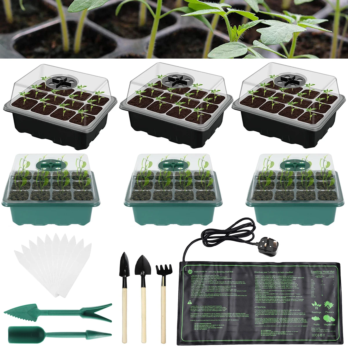 

6Pcs Seed Starter Kit 12-Cell Seedling Tray Plant Seeds Grow Box Seedling Tray Germination Box with Dome and Base for Seeds Grow