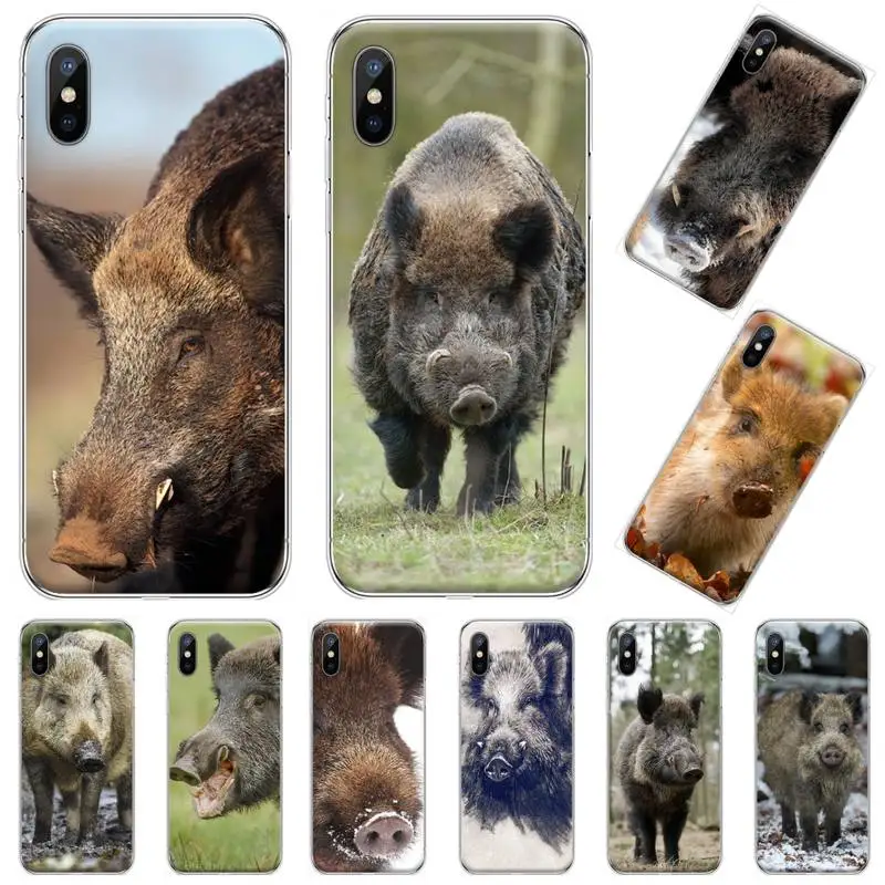 

Wild Boar Animal Phone Case Transparent soft For iphone 12 11 13 7 8 6 s plus x xs xr pro max mini