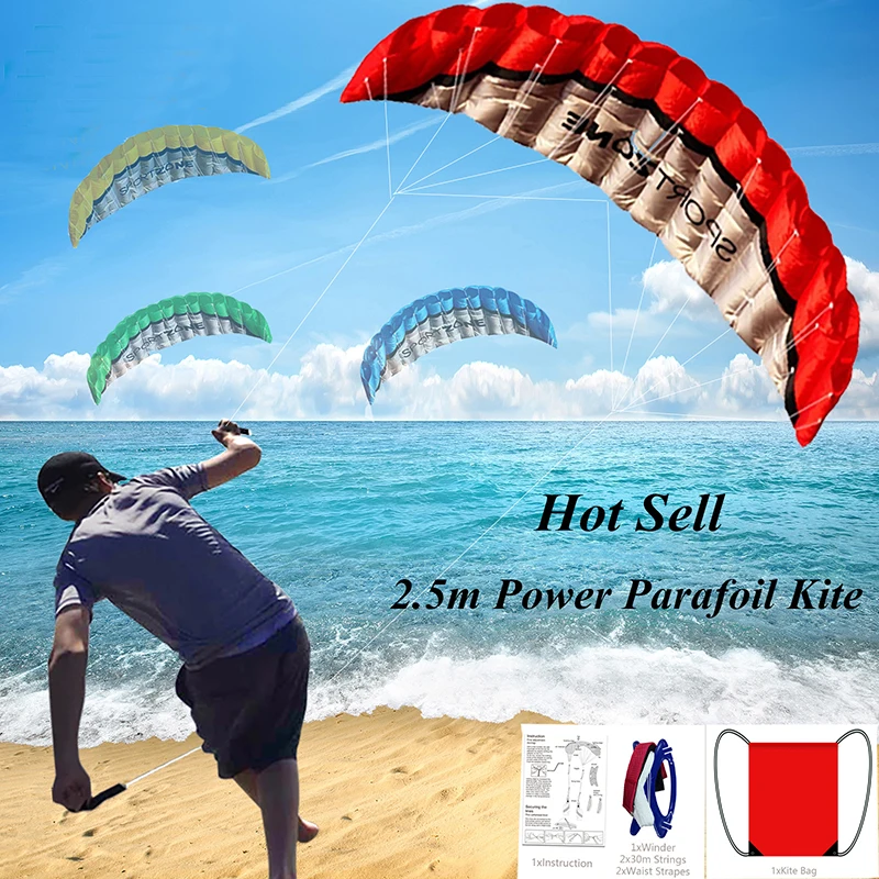 

Outdoor Fun Sports New Quality 2 Arrive.5m Dual Line 4 Colors Parafoil Parachute Sports Beach Kite Easy to Fly Factory Outlet