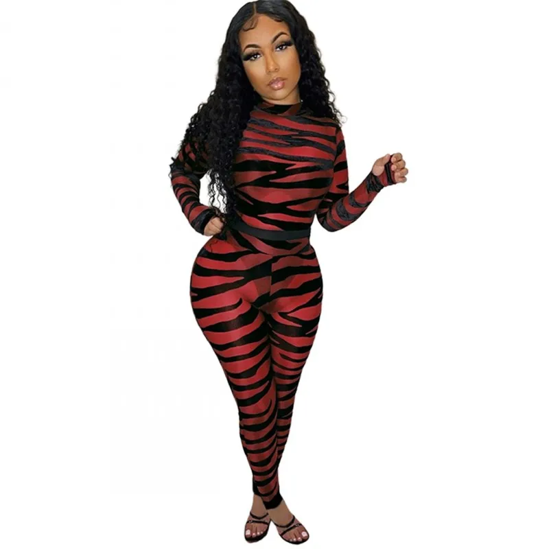 

Y2k Skinny Jumpsuit Women O Neck Full Sleeve Bodysuit Spring New Leopard Print See Through Sexy Clubwear Outfits Jumpsuits 2022
