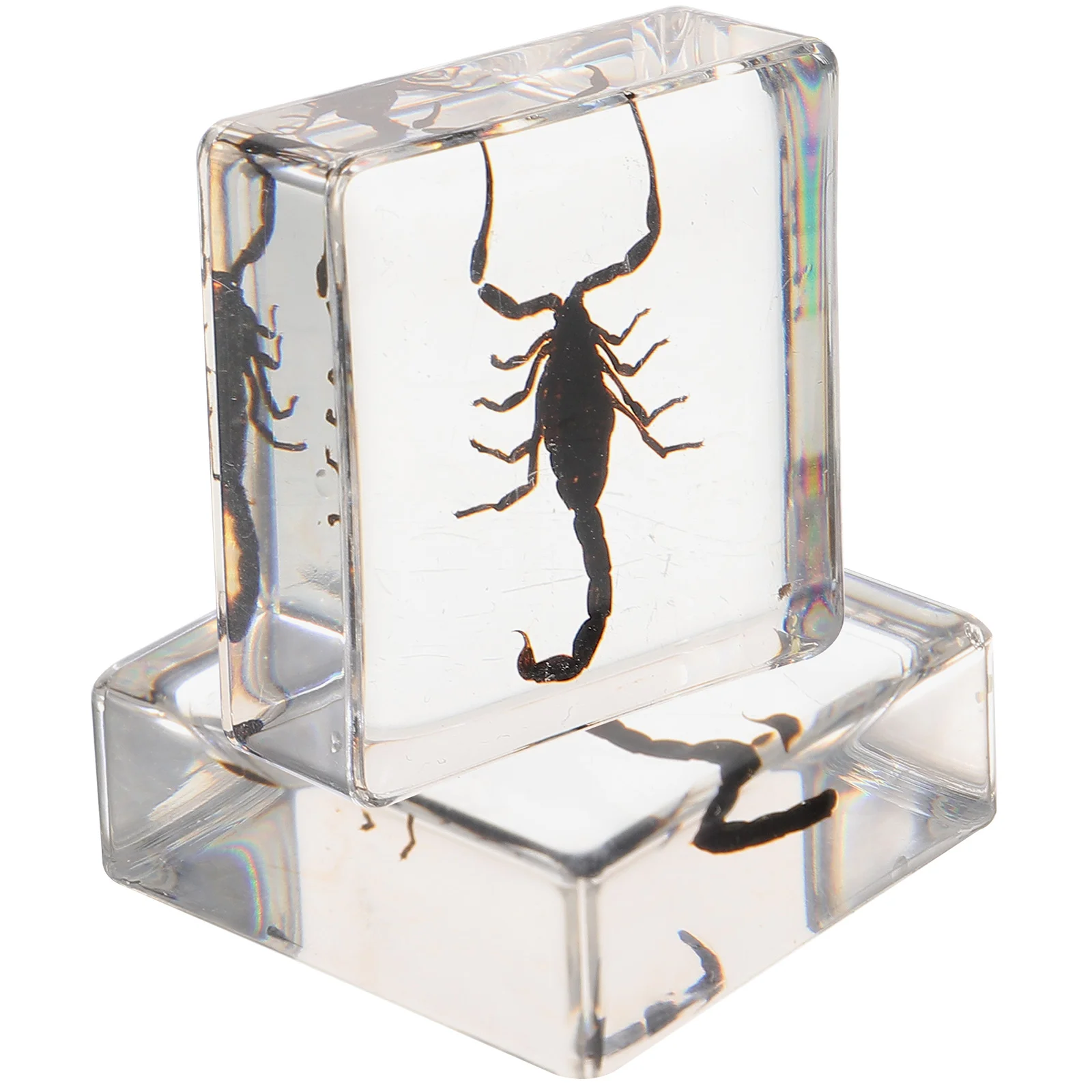 

Insect Resin Decor Table Insects Craft Desktop Adornment Artwork Shaped Decorative