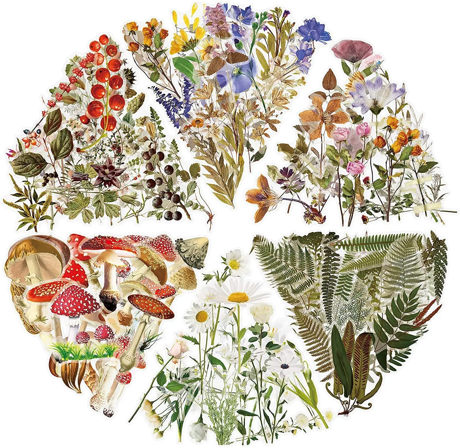 

240Pcs Flower Stickers Transparent PET Scrapbook Sticker Aesthetic Natural Plant Floral Sticker Art Bullet Journals DIY Stickers