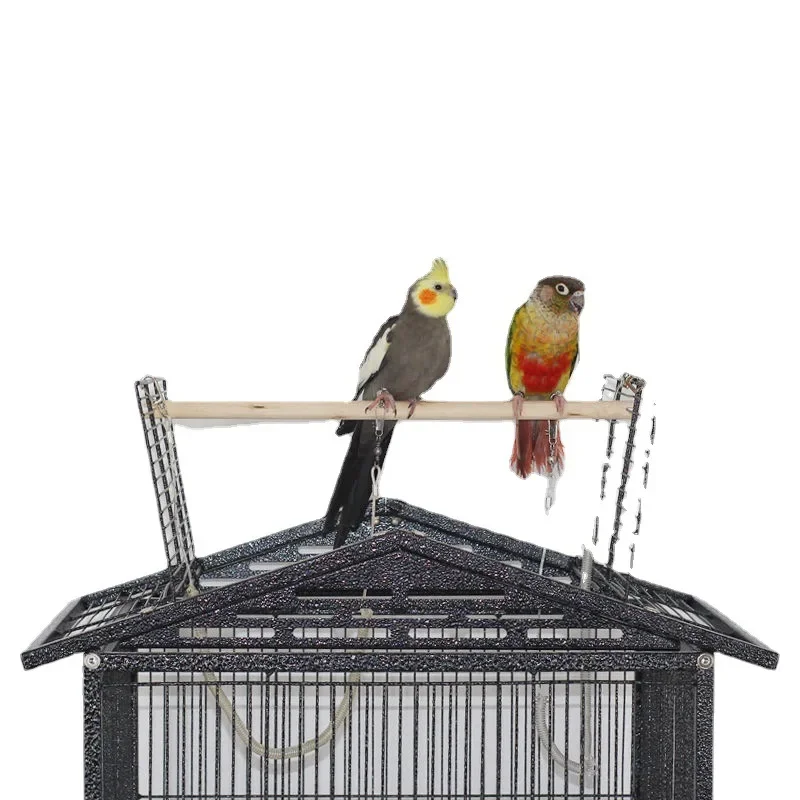 Большая тигровая кожа Xuanfeng стартовый металлический Leiothrix для домашнего