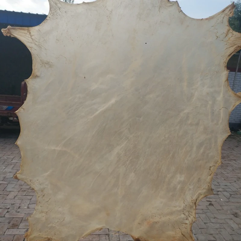 Прозрачная козья барабанная кожа