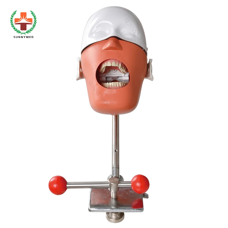 

SY-YM14 simulator phantom head for education