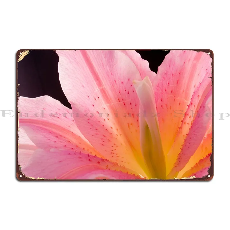 

Красивый розовый цветок лилии, металлический знак, Настенный декор, дизайн кухни, клуба, бара, кинотеатр, жестяной плакат