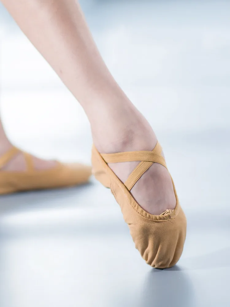 

EU24-46 Professional Quality Slippers Canvas Soft Sole Belly Yoga Gym Ballet Dance Shoes Girls Woman Man Ballerina