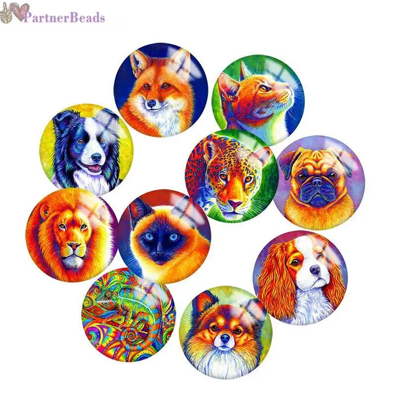 

Colorful Animal Round Photo Glass Cabochon Demo Flat Back Making Findings 20mm Snap Button N0801
