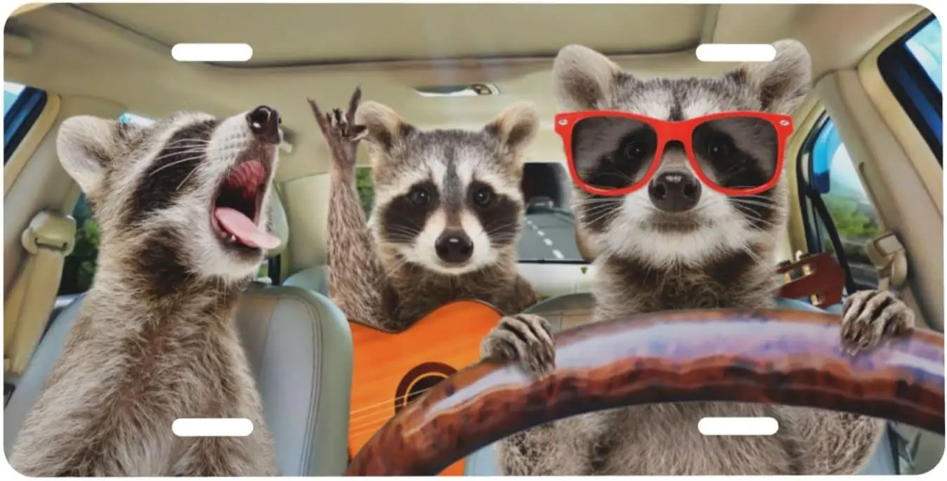 

License Plate Funny Raccoon Decorative Car Front Metal Car Plate License Plate Aluminum License Plate for Men Women 12x6 Inch