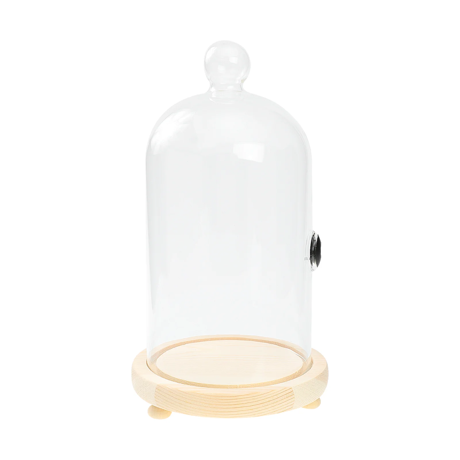 

Dome Cover Cloche Glasscake Display Smoker Infuser Dessert Cocktail Lid Bell Jar Stand Plate Tray Cuisinecupcake Serving Clear