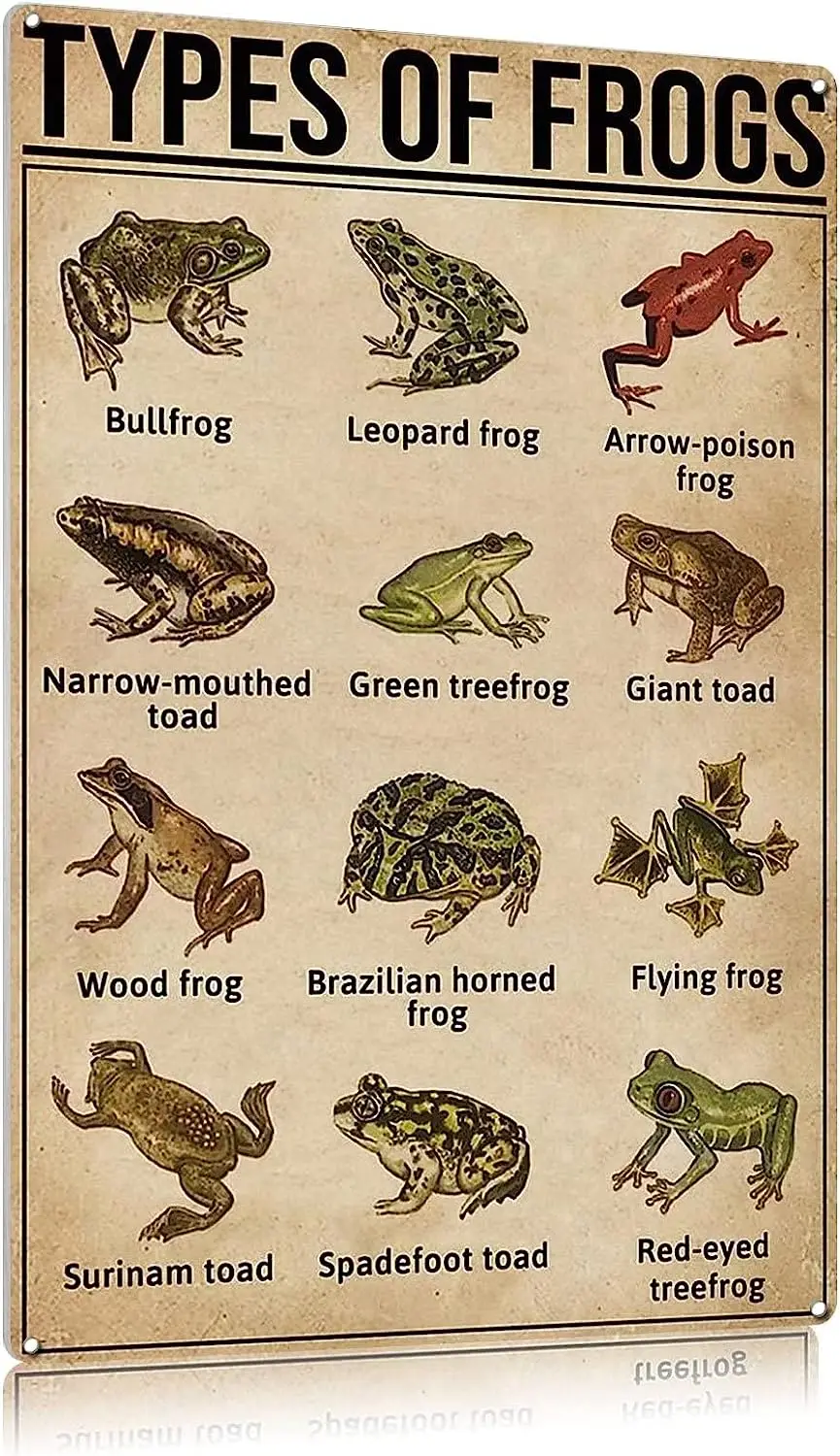 

Retro Types Of Frogs Metal Tin Sign Vintage Decor For Bathroom Kitchen Livingroom Man Cave Coffee Bar 12x18 Inches Tin
