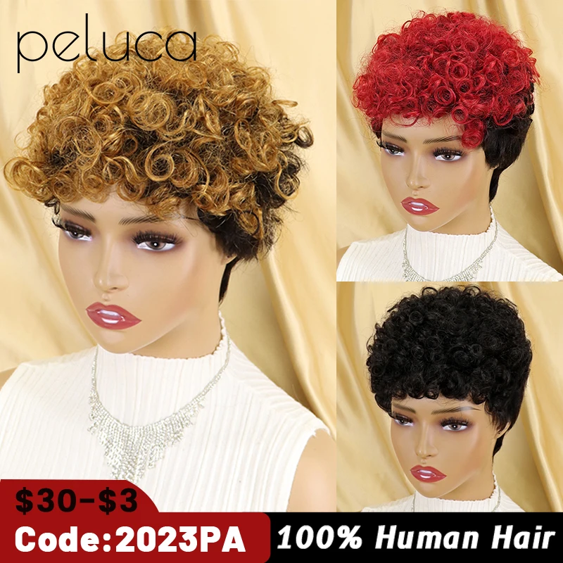 Afro Kinky Curly Wig For Black Women Human Hair Brazilian Remy Sassy Fluffy Curl Wigs Short Bob Pixie Cut Wig Ombre Brown Cheap