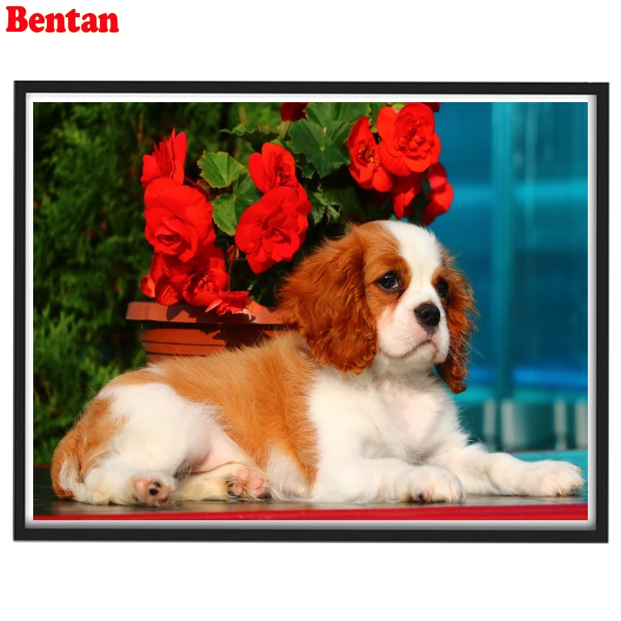 Алмазная вышивка Кавалер Кинг Чарльз Спаніель ручная работа алмазная живопись