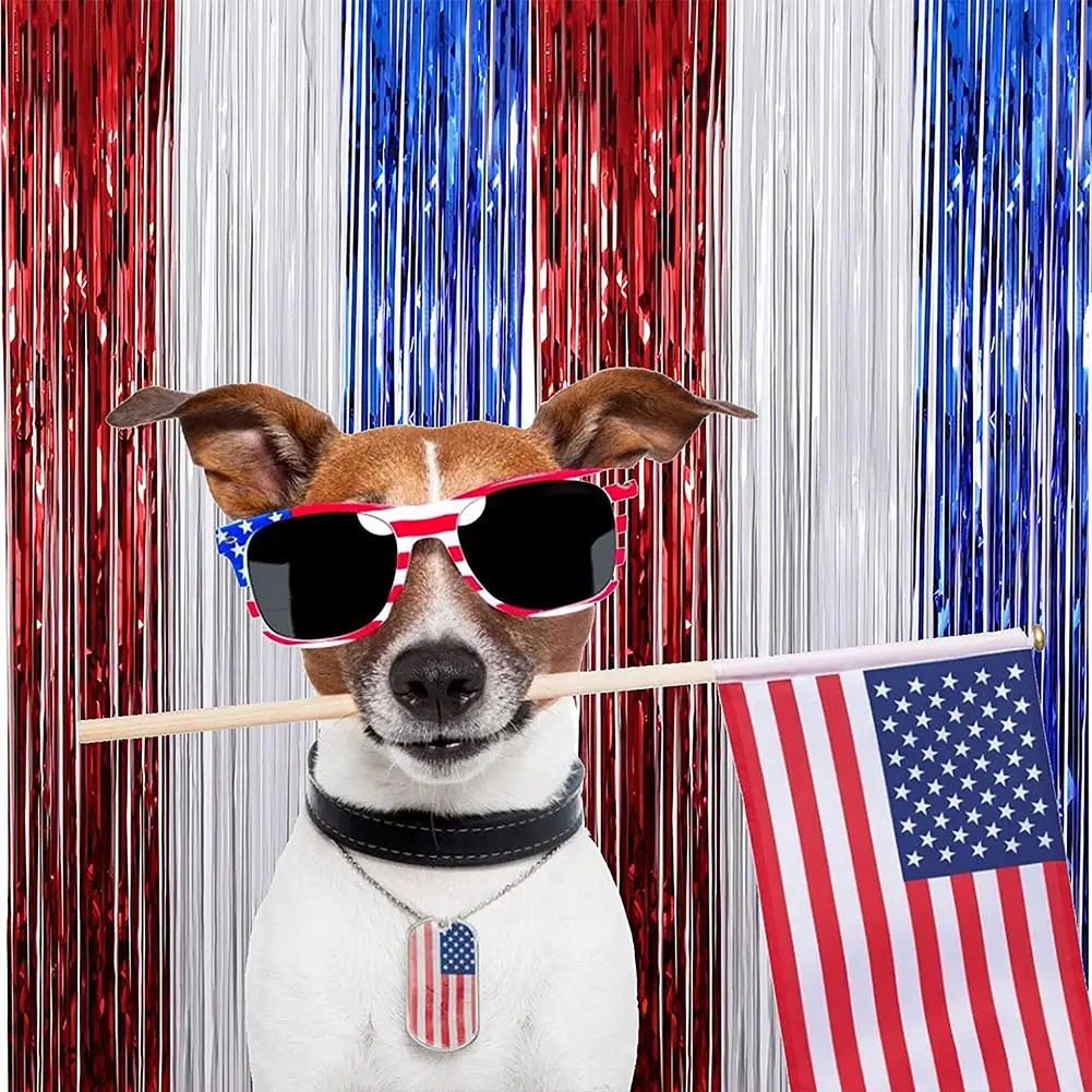 

Rain Tinsel Foil Curtain Festive Birthday Party Favors Wedding Balloons Photo Backdrops Decoration Party Supplies Accessories