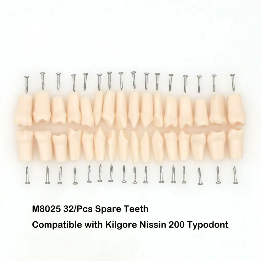 Kilgore NISSIN 200 Type 32 Pcs Replacement spare Teeth Dental Typodont Model cepillo interdental orthodontic teeth whitening