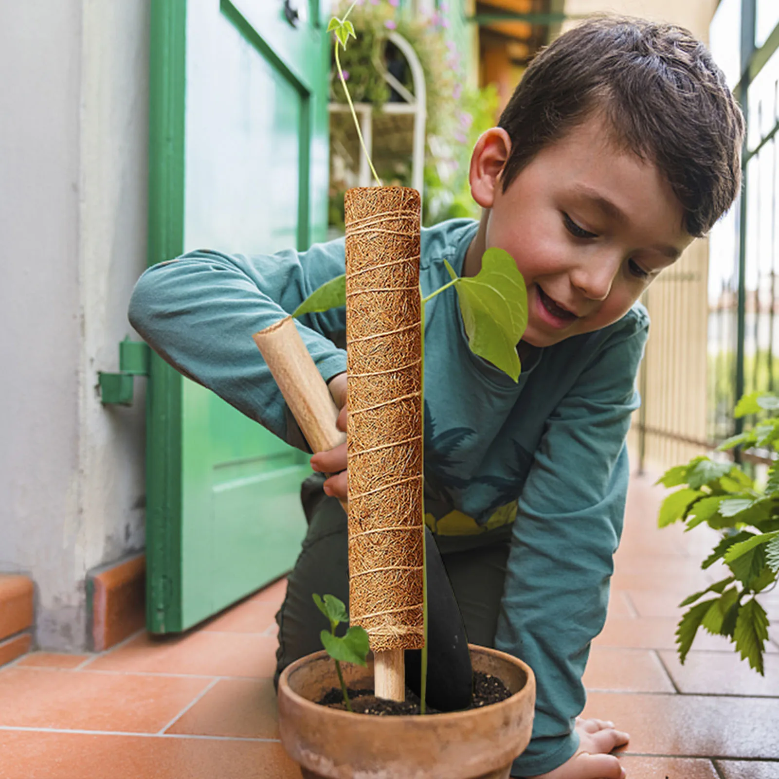 

Plant Moss Pole Set With Strips Plant Labels Planting Implements Coir Plant Support Extension For Climbing Plants Indoor Plants