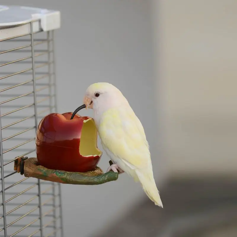 

Bird Feeder Budgerigar Supplies Equipment Peony Parrot Water Anti Fruit Box Trough Anti Splash