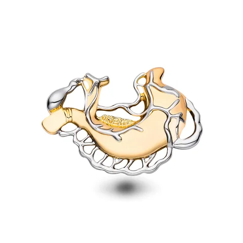 Металлическая брошь анатомия желудка Medsor