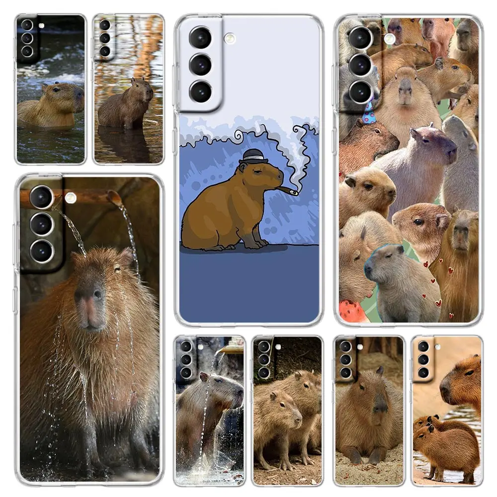 

Cute Capybara Shockproof Phone Case For Samsung Galaxy S23 Ultra S22 5G S20 S21 FE 5G S10E S9 S8 S10 Plus Silicone Clear Cover