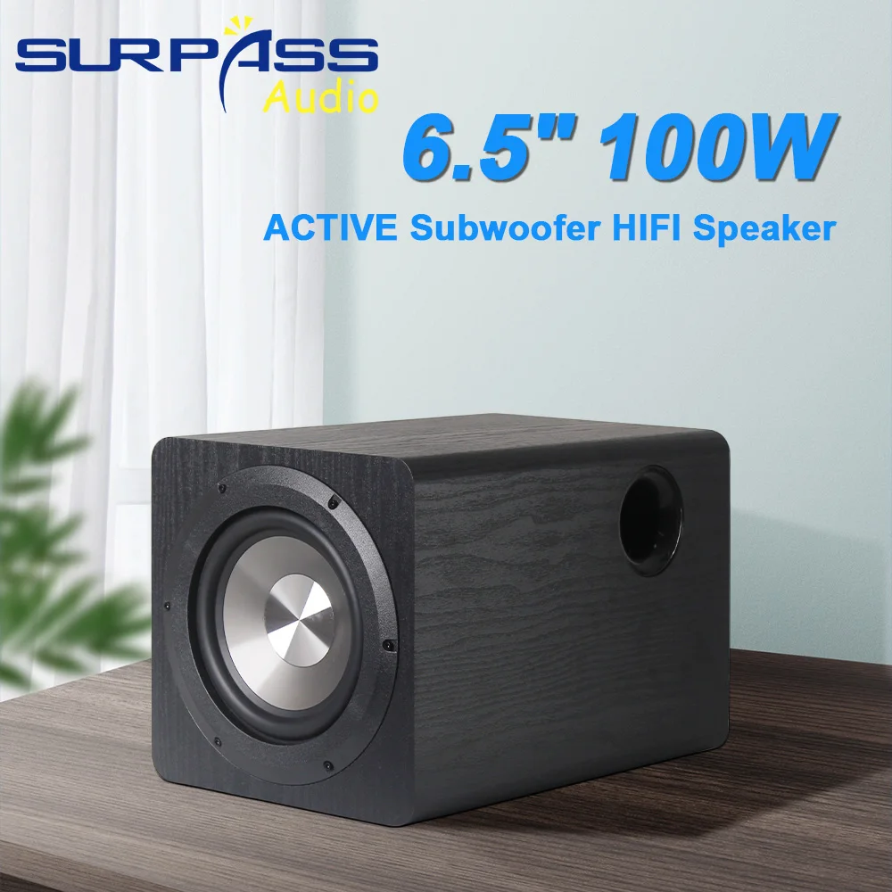 6.5 Inch Woofer 100w Audio Speaker For Amplifier Home Theate