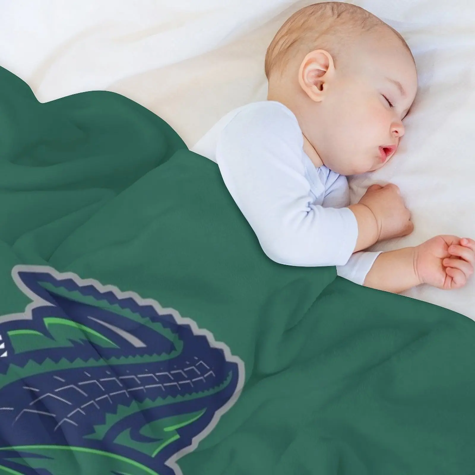 The Florida Everblades тонкое одеяло для зимы