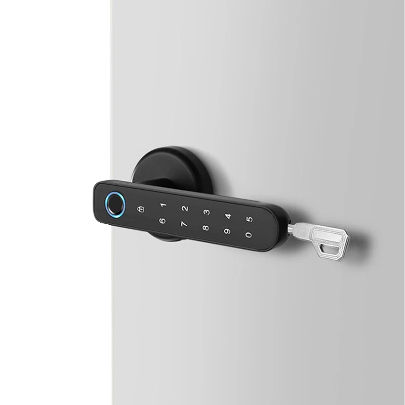 

Double 11 Fingerprint Password Lock Electric Biometrics Code Number Single Latch Door Lock With Key