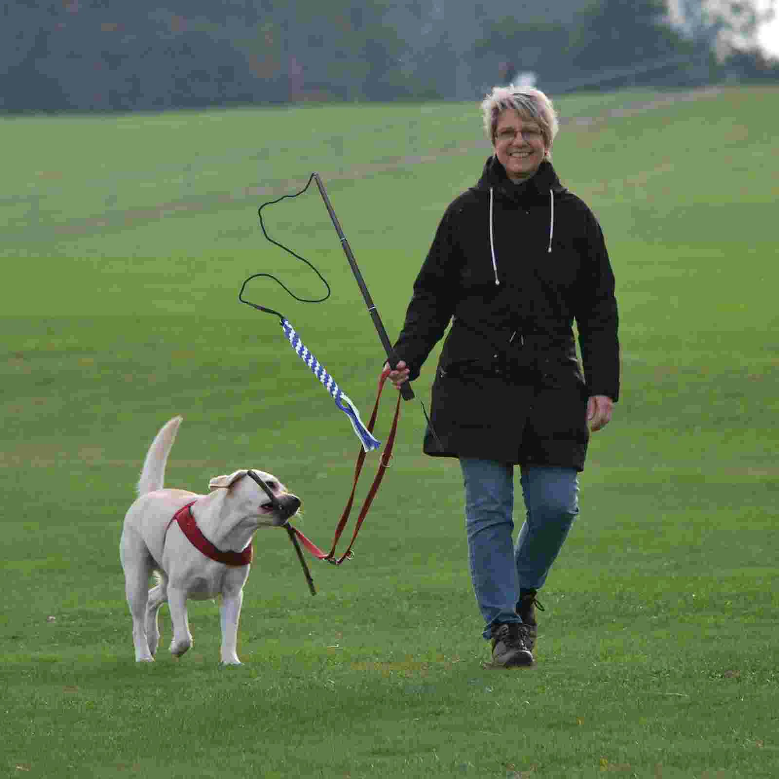 Оборудование для тренировки ловкости собак выдвижной поводок флирта домашних