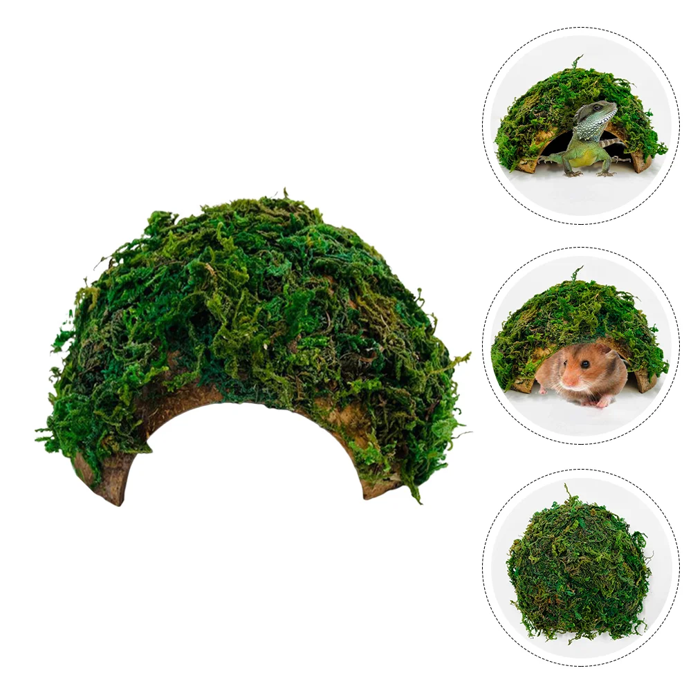 

Reptile Hideout House Turtle Habitat Hides Caves Reptiles Shelter Reptisoil Animal Hamster Coconut Shell Terrarium Fogger