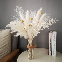 nordic ins wind small fresh reed buddha dust dry flower bouquet home tabletop tea table flower arrangement products