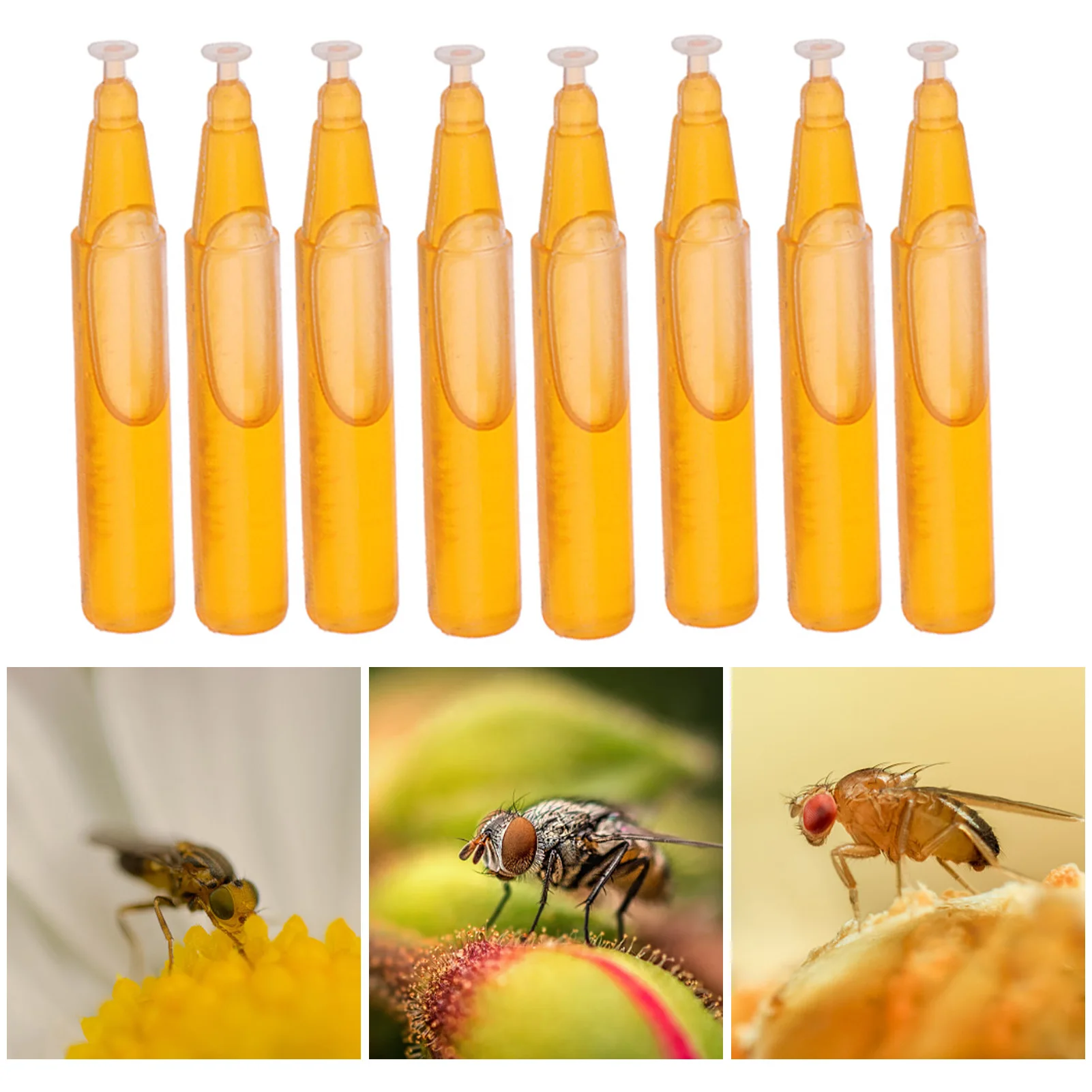 

10pcs Liquid Fruit Fly Killer Outdoor Fruit Fly Attractant Drosophila Attractant for Gardens Backyards Greenhouses Nurseries