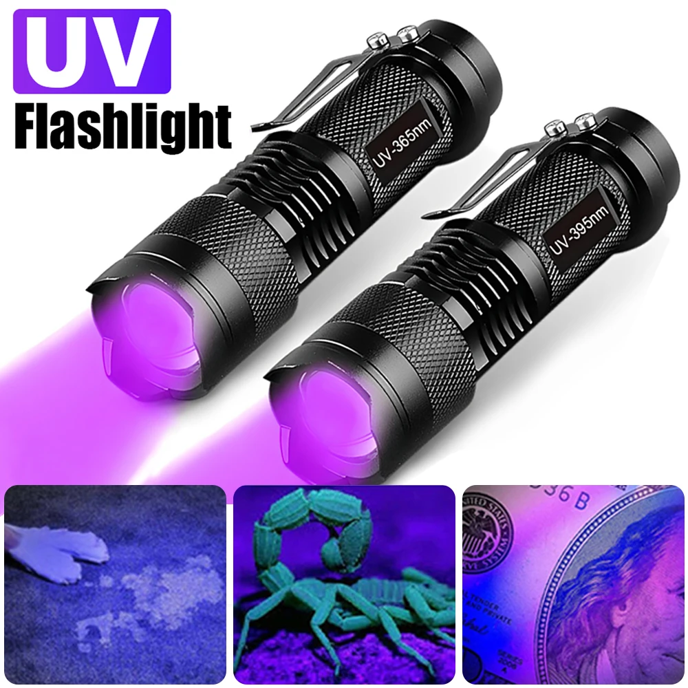 

Light Ultra Flashlight Urine Lamp Stain Mini Zoomable Inspection Violet Portable Torch Pet Blacklight Scorpion Detector