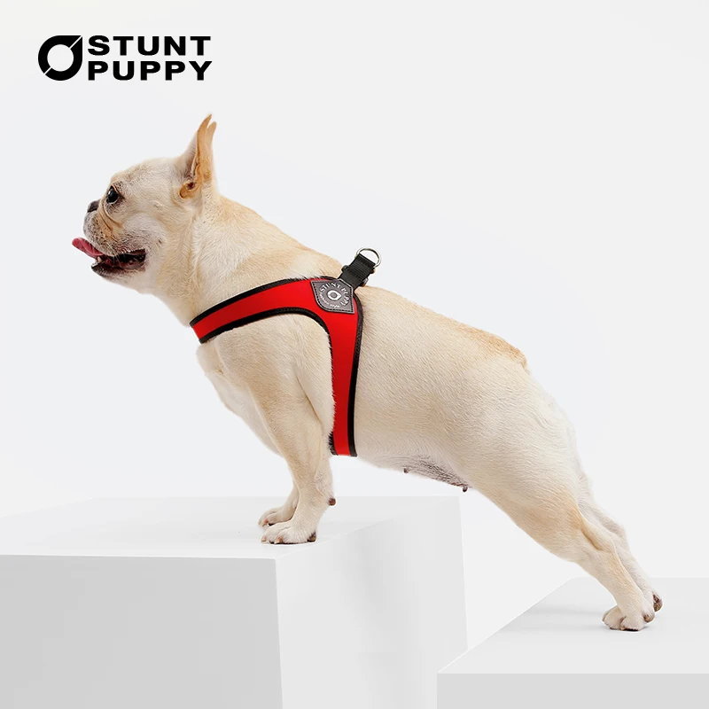 

Stunt Puppy Dog Harness Vest Small Dogs Leash Yorkshire Terrier Chihuahua Shih Tzu Bulldog Cute Fashion Pet Harnesses Supplies
