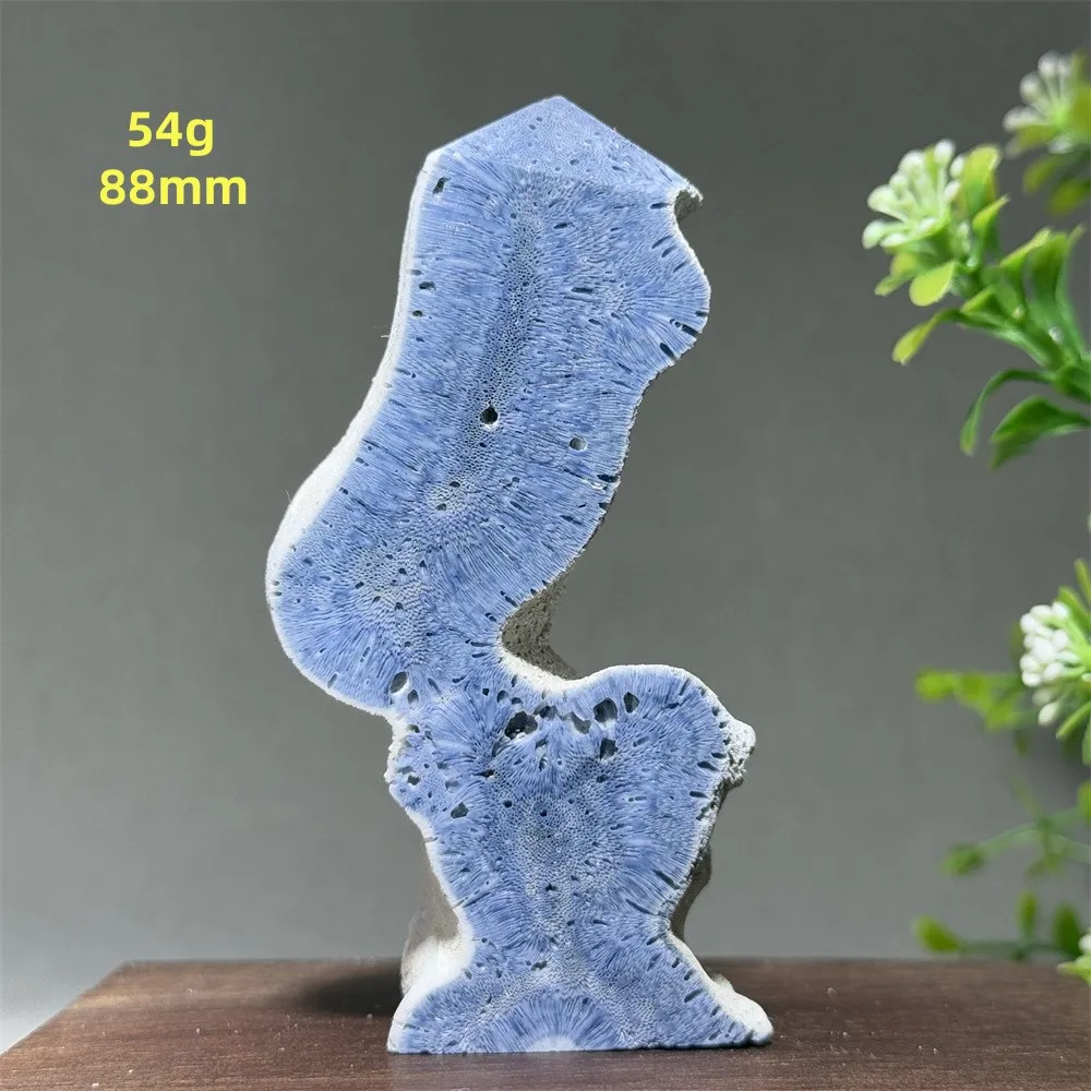 

Синий коралловый минерал