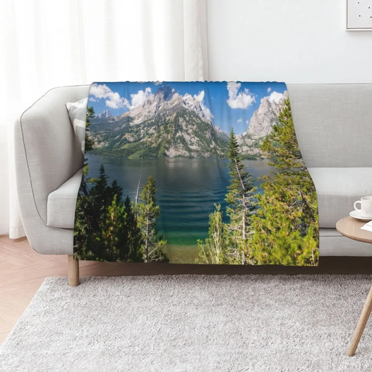 Фото Плед Jenny Lake, Национальный парк Гранд-Тетон, Вайоминг, пушистый плюшевый плед для дивана и кресла №1