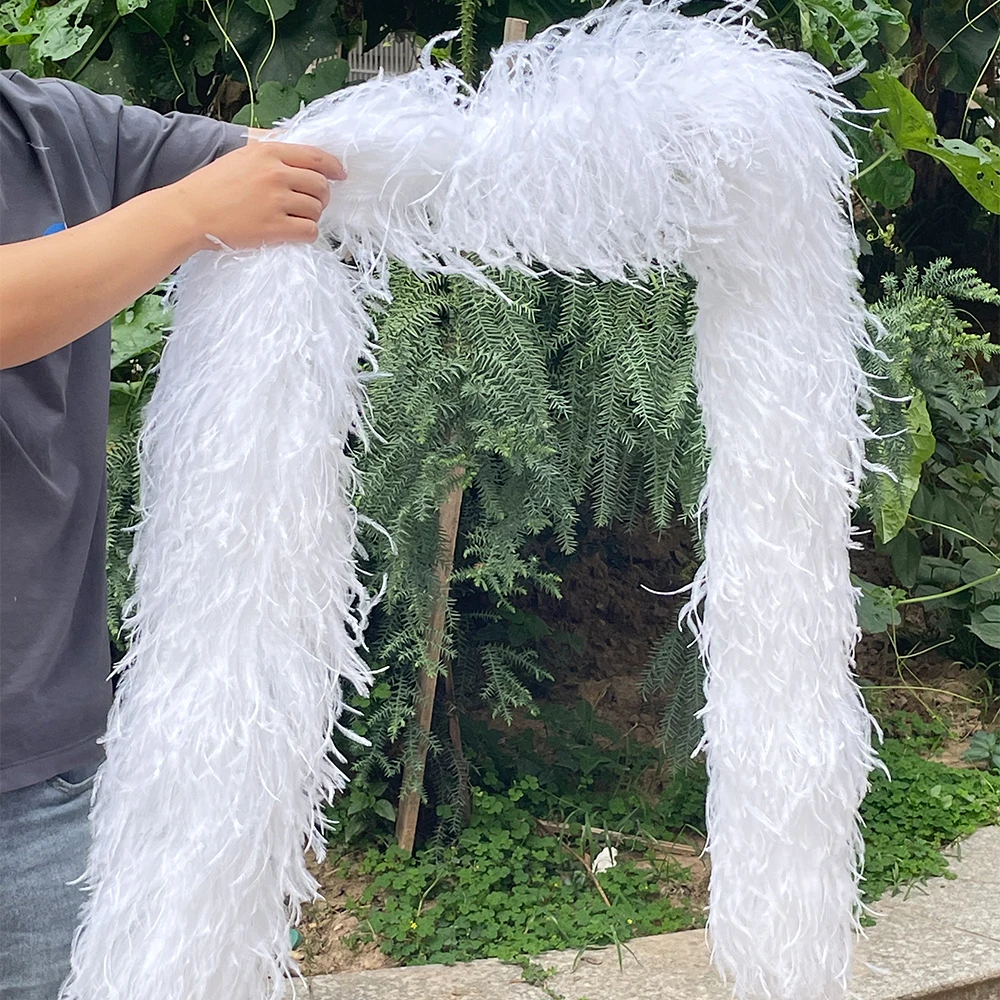 

10Ply Ostrich Feathers Boa for Craft Party Wedding Clothes Sewing Mini Dress Shawl Lady Display Design Decor 0.5/1/2M Customized