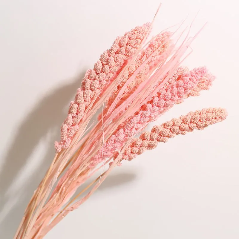 Yunnan Natural Dry Flowers Dyeing Millet Corn Wheat Spike Flower Garden Art Home Spring Decoration Outdoor Items Accessories