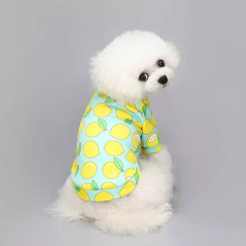 

2022NEW Cute Print Small Dog Hoodie Coat Winter Warm Pet Clothes for Chihuahua Shih Tzu Sweatshirt Puppy Cat Pullover Dogs Pets