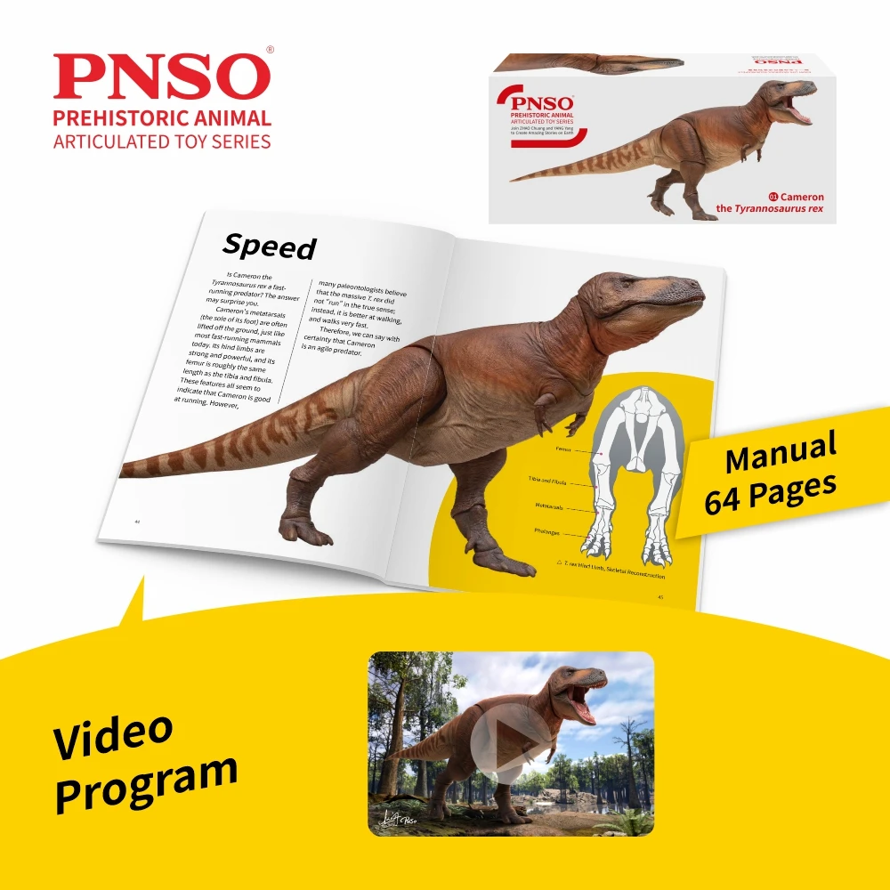Фото Серия подвижных фигурок PNSO Prehistoric Animai: 01Кэмерон — Тираннозавр Рекс №2