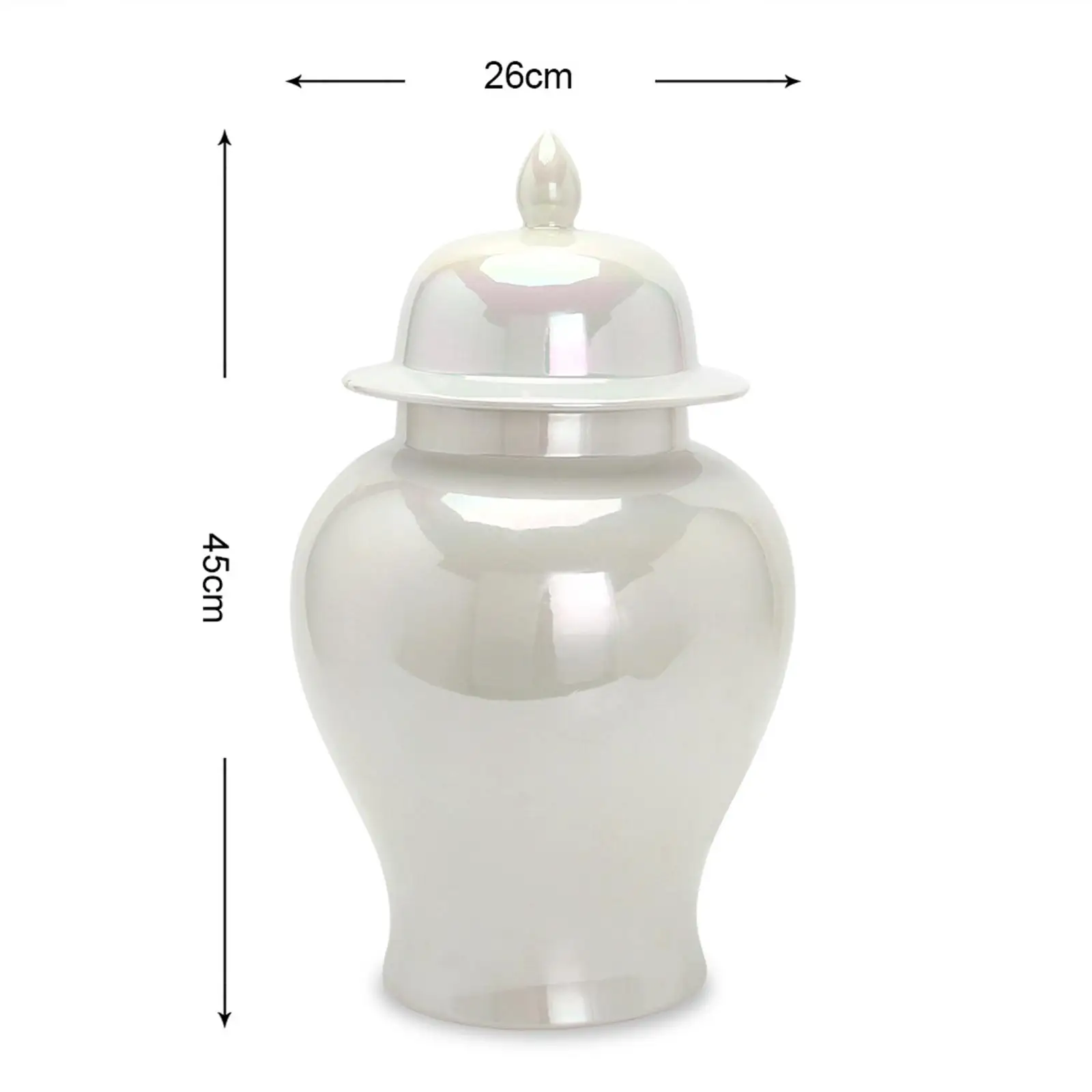 

Glossy Ginger Jar Ceramic Vase Floral Arrangement Pot Porcelain Storage Tank